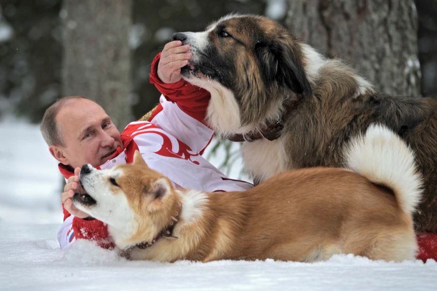 Wladimir Putin