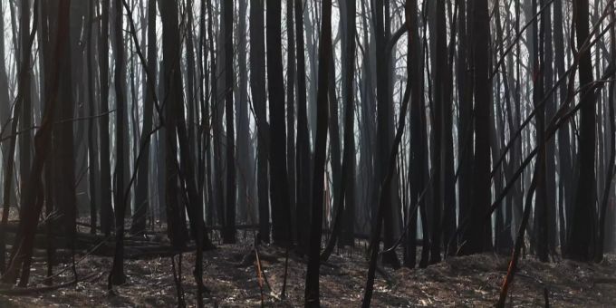 Die Buschfeuer in Australien haben nach Angaben der Regierung riesige Mengen an CO2 freigesetzt, mehr als der übliche Treibhausgas-Ausstoss in einem Jahr. (Archivbild) Kohlenstoffdioxid