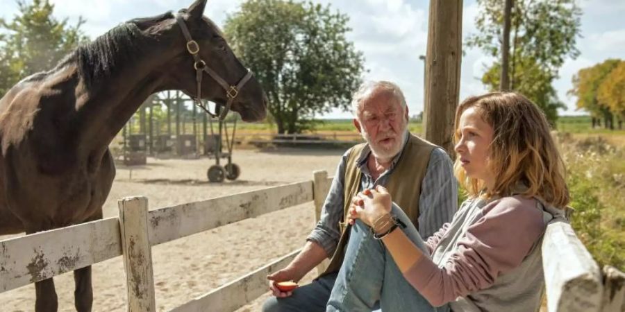 Paul Brenner (Dieter Hallervorden) gibt Jana (Lena Klenke) die Chance, mit dem Pferd Rock zu arbeiten. Foto: Neue Schönhauser Filmproduktion/ARD/Degeto/dpa