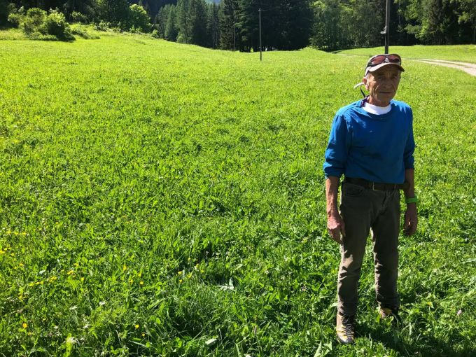 Sarrasin auf der Wiese, wo er seine zerrissenen Schafe fand.