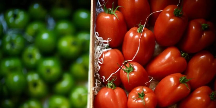 Kisten mit roten und grünen Tomaten