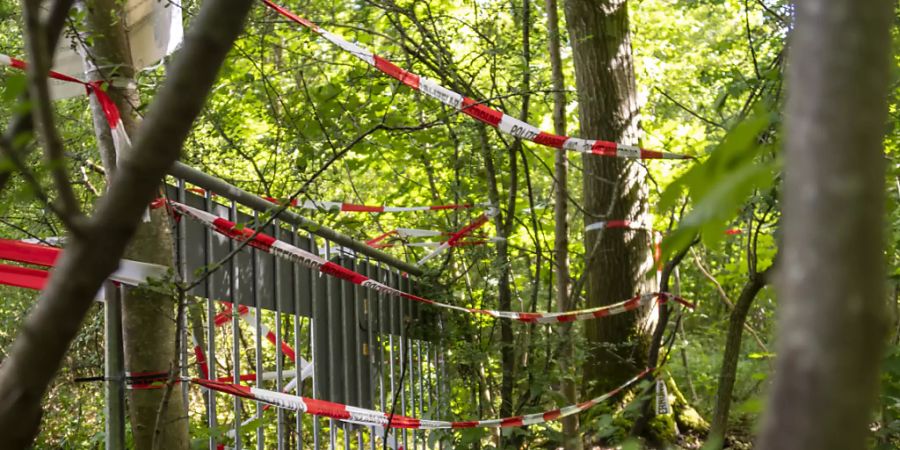 Geschlossene Grenzen liessen die illegalen Einreisen einbrechen: Versperrter Grenzübergang nach Deutschland im Naherholungsgebiet Lange Erle in Basel. (Archivbild)