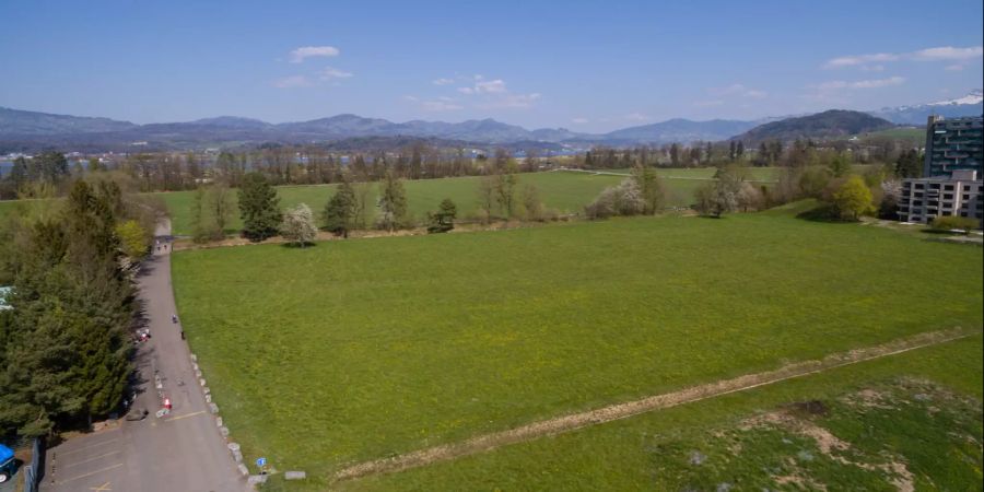 Umgebung von Lachen (SZ).