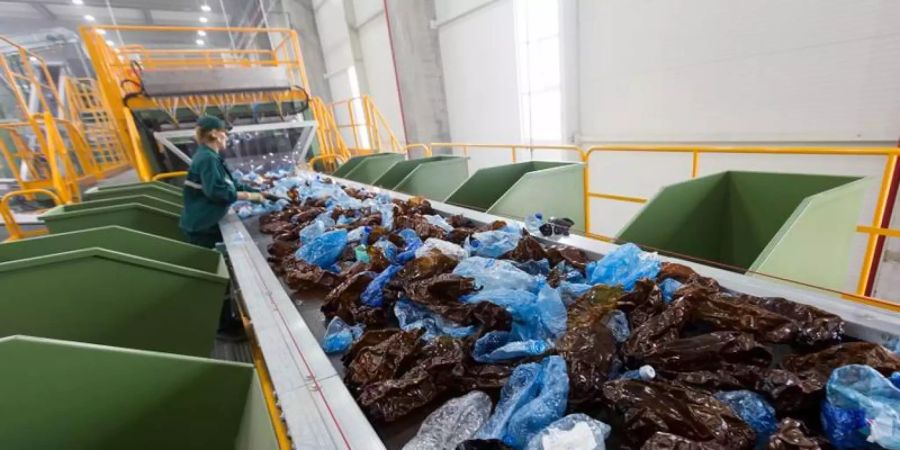Plastikflaschen auf dem Fliessband einer Plastik-Recyclingfabrik in Rumänien. Foto: -/Firma Greentech/dpa