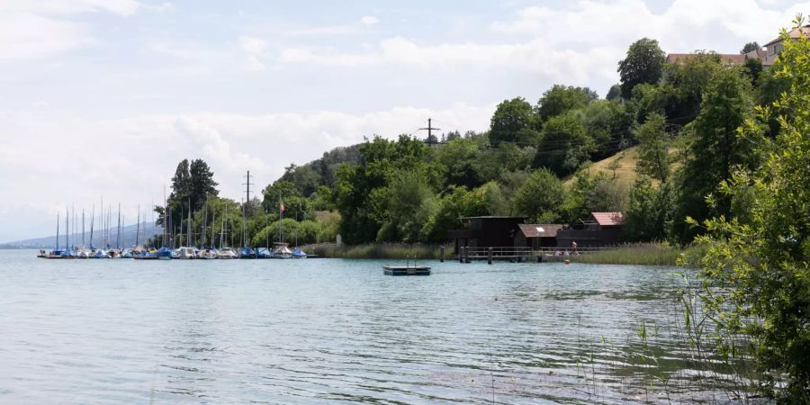 Der Hallwilersee bei Boniswil.