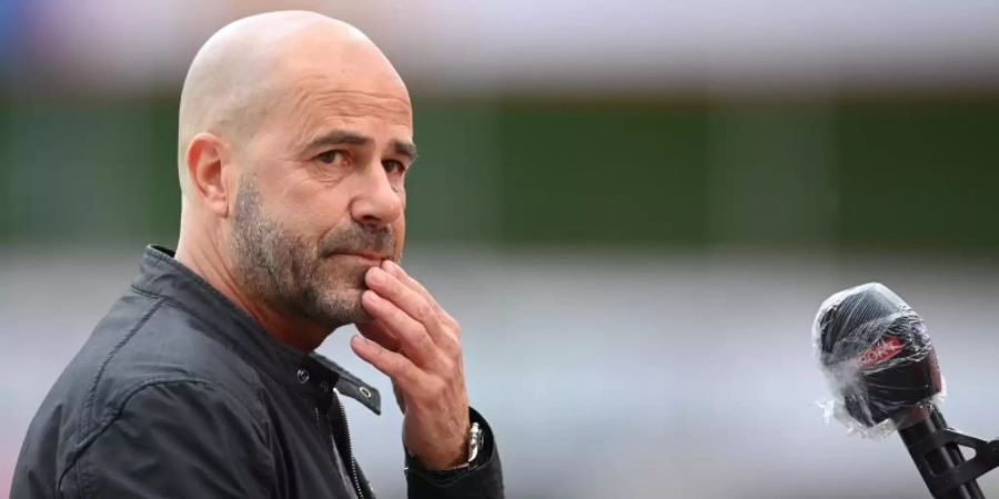Bayer-Trainer Peter Bosz will mit den Leverkusenern noch in die Champions League. Foto: Matthias Hangst/Getty Images Europe/Pool/dpa