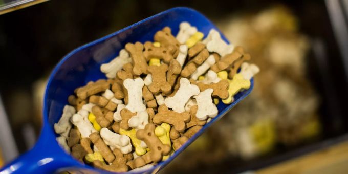 Investoren kämpfen um die Übernahme von Zooplus. Hellman & Friedman