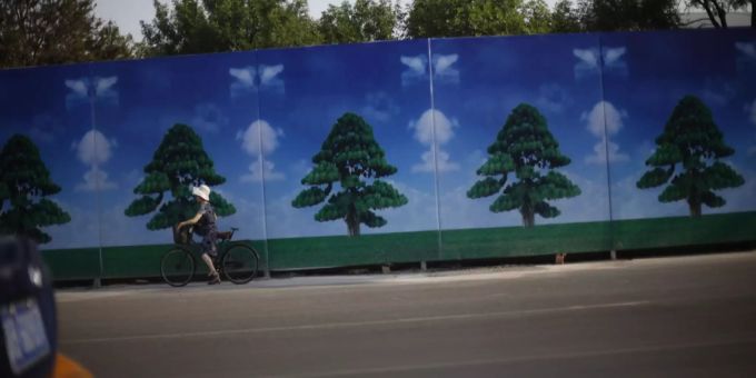 Pro Jahr - China will 36'000 Quadratkilometer aufforsten
