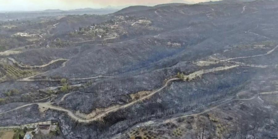 Verbranntes Gebiet nahe der Stadt Manavgat an der türkischen Mittelmeerküste. Foto: Suat Metin/IHA/AP/dpa