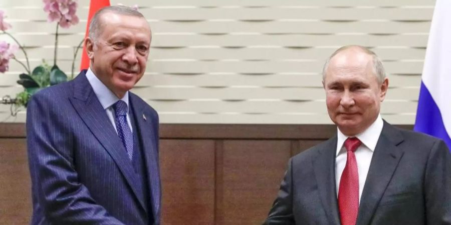 Handschlag: Wladimir Putin (r) und Recep Tayyip Erdogan in der russischen Staatsresidenz Bocharov Ruchey. Foto: Vladimir Smirnov/Pool Sputnik Kremlin/AP/dpa
