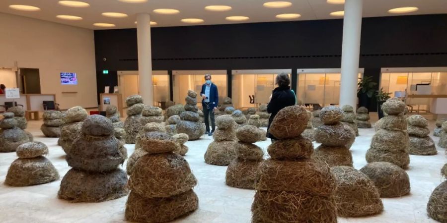 Augustas Serapinas Schneemänner aus Stroh und Mist in der Halle der UBS.