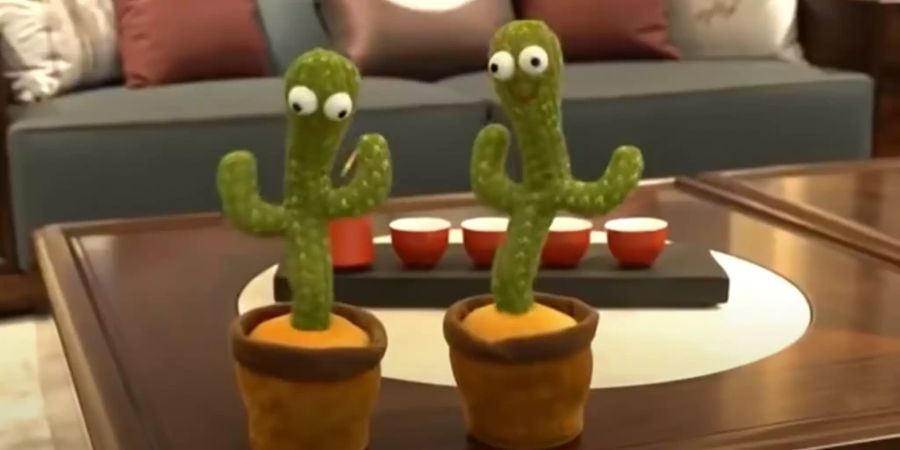 Kaktus