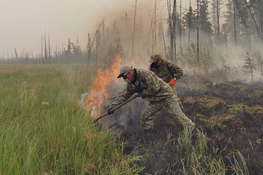 Russia Wildfires