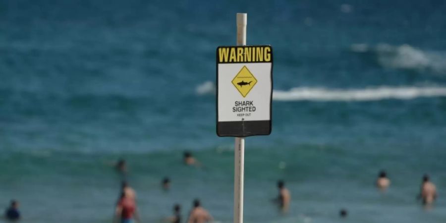 Haiangriffe sind besonders für Surfer in Australien keine Seltenheit