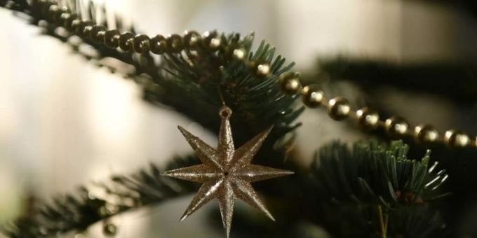 Weihnachtsbaum Weihnachtsbaum