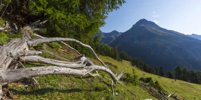 schweizerischer nationalpark