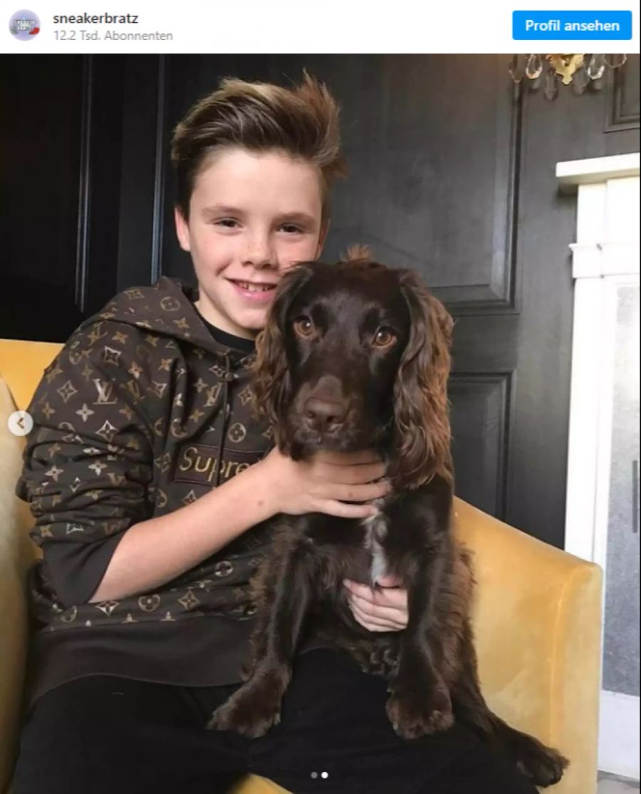 cruz beckham