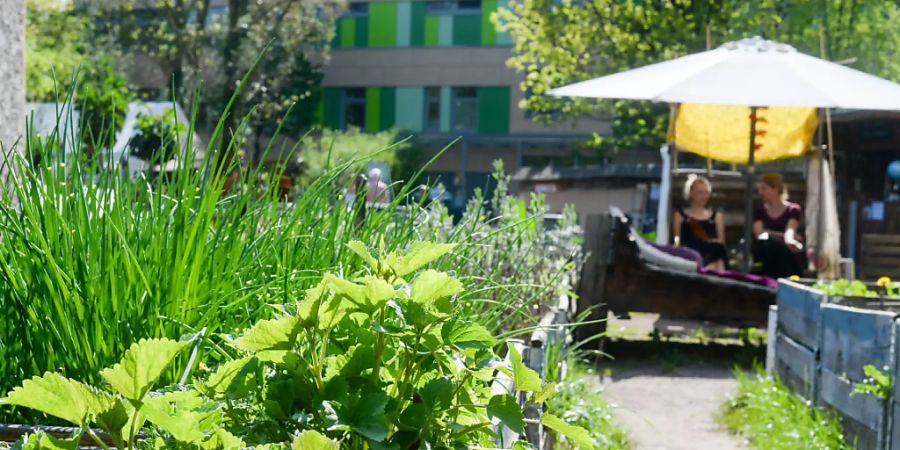 ARCHIV - Blick in den Gemeinschaftsgarten Himmelbeet in Wedding. (zu dpa «EU-Umweltagentur: Städte müssen sich stärker an Klimafolgen anpassen») Foto: Jens Kalaene/dpa-Zentralbild/dpa