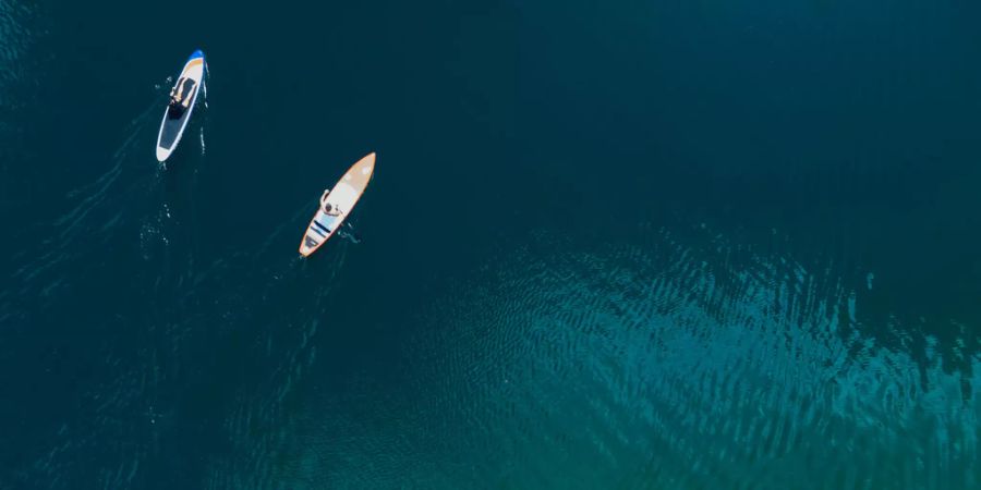 stand-up-paddle