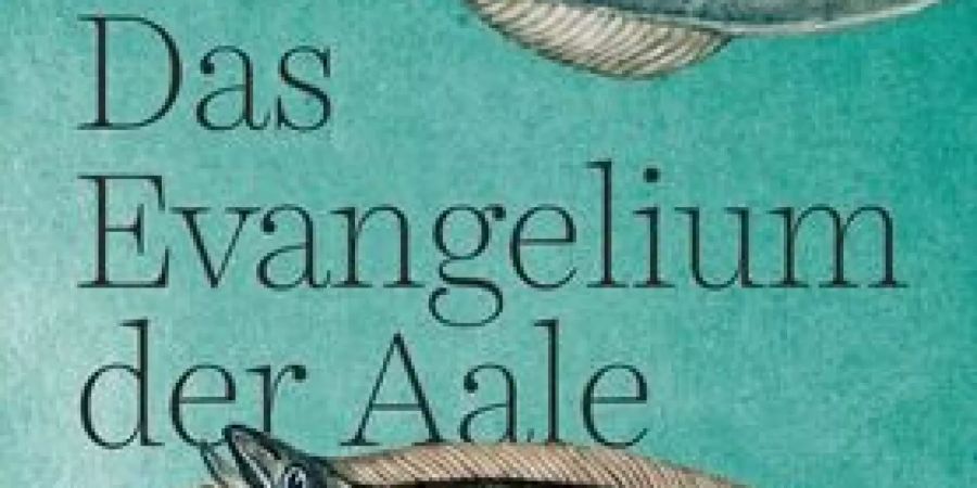 Buch des Monats – die Bibliothek Küsnacht empfiehlt