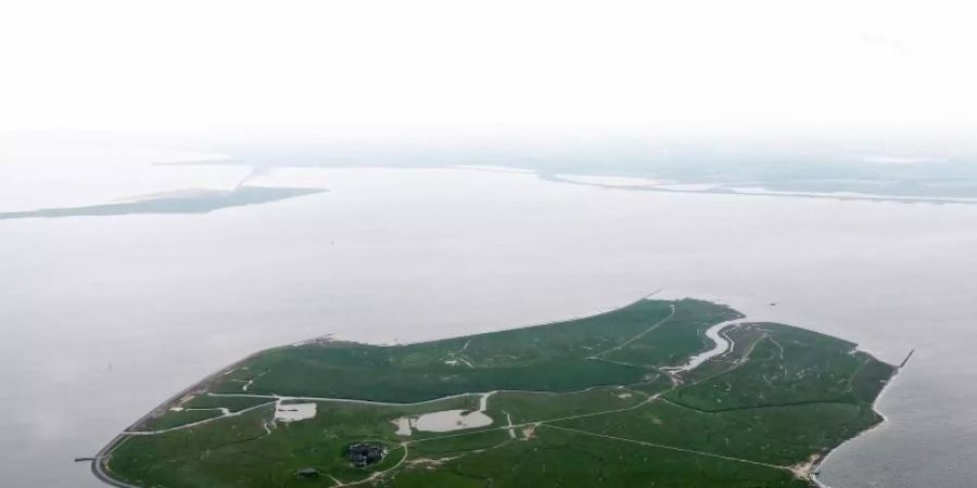 Die Luftaufnahme zeigt die Hallig Gröde vor der Nordseeküste in Nordfriesland. Foto: Carsten Rehder/dpa