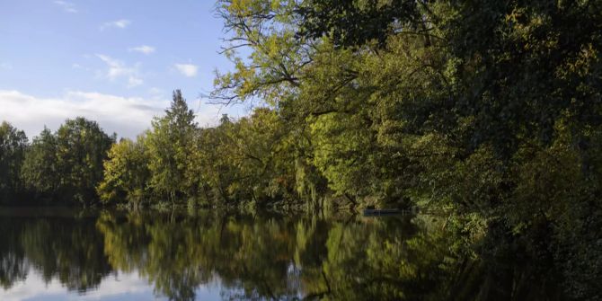 weiher see natur tuggen