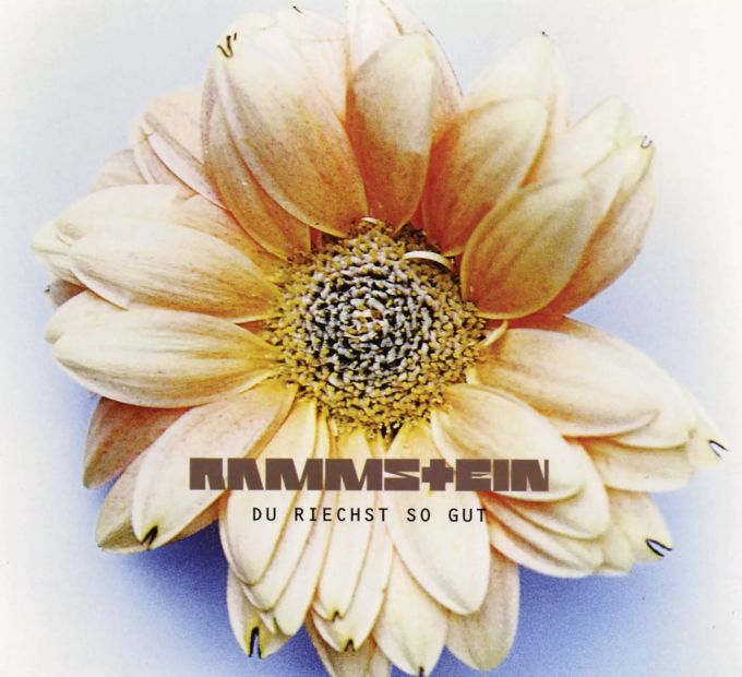 Verdächtig: Die Blume des Covers des Liedes «Du riechst so gut» aus dem Album «Herzeleid» erinnert an die Video-Blume. Rammstein