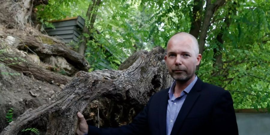 Van-Gogh-Experte van der Veen vor den originalen Baumwurzeln
