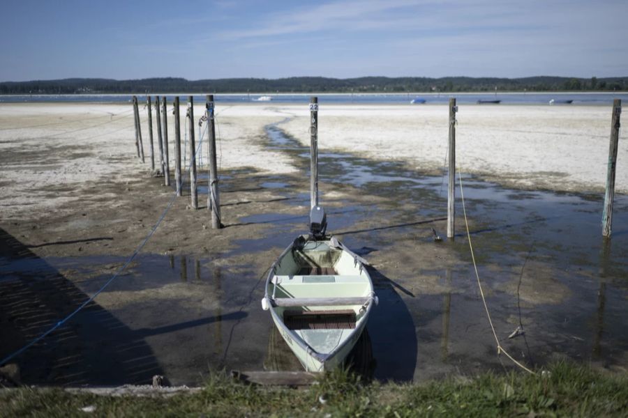 Dem Regen war eine lange Dürre vorausgegangen. Der Bodensee ist aufgrund seines tiefen Pegels kaum wiederzuerkennen.