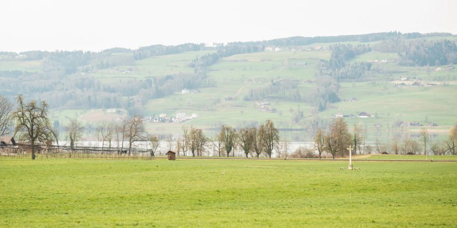 Der Baldeggersee bei der Gemeinde Hitzkirch.