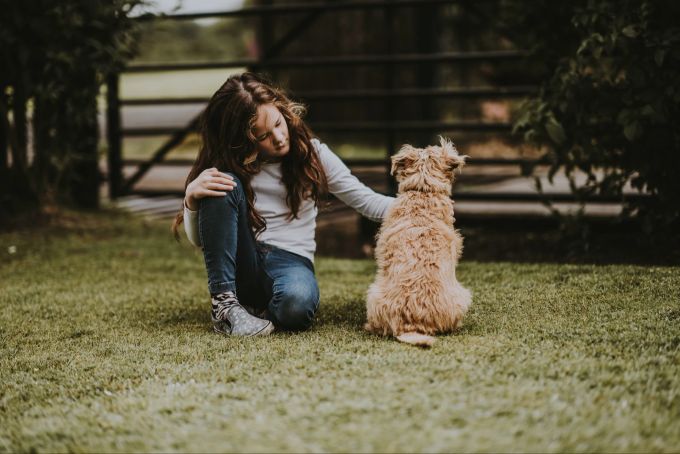 Streicheln tut gut – Kind wie Hund, Mensch wie Tier. Kind Hund Mensch Streicheln