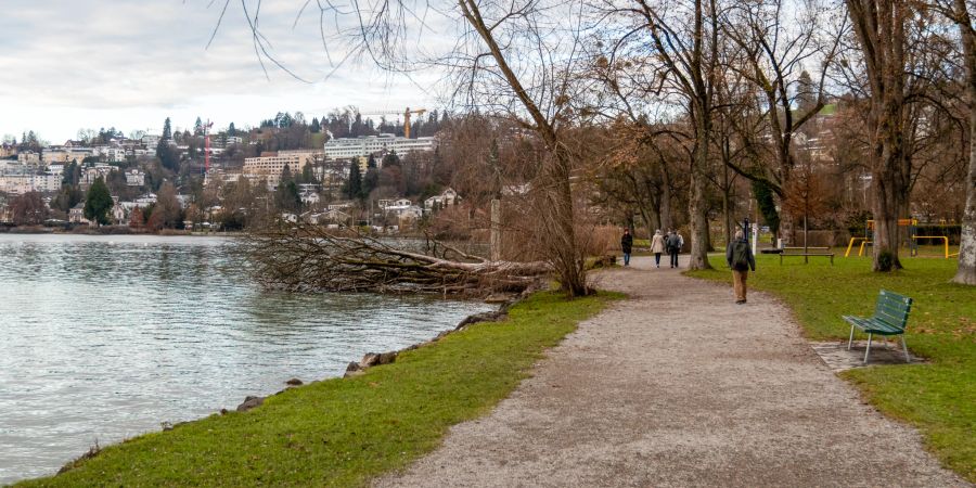 Der Spazierweg zwischen dem Vierwaldstättersee und der Lido Wiese in der Stadt Luzern.