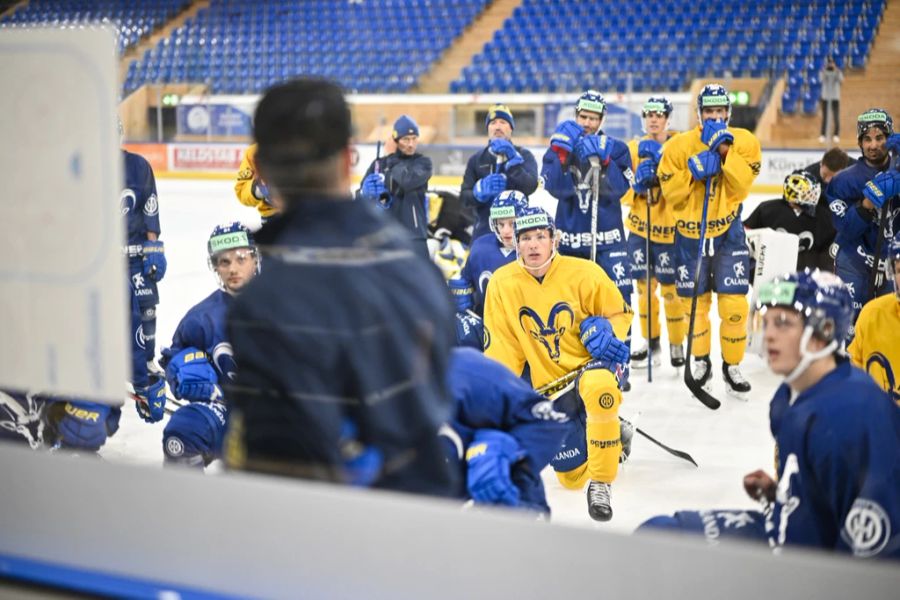 HC Davos