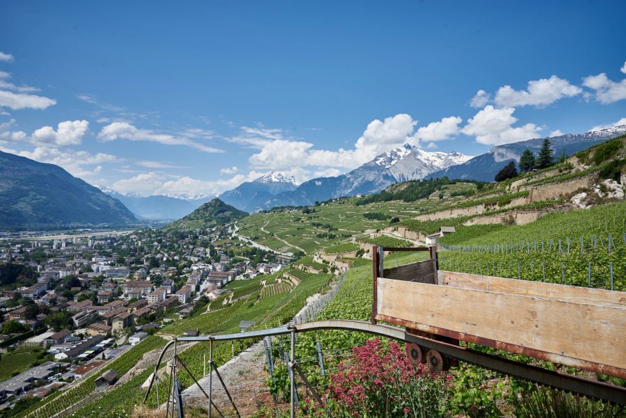 Swiss Wine Schweizer Wein