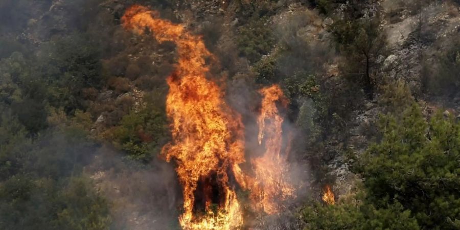 Waldbrand in der libanesischen Region Tschuf