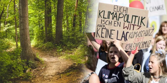 Dank Klimakids - Umweltorganisationen haben massiven Mitglieder-Zulauf