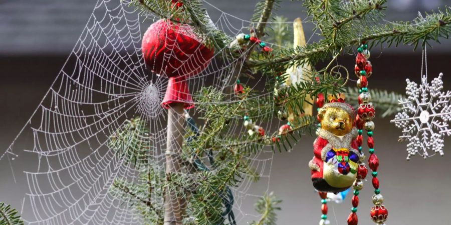 Weihnachten Traditionen Ukraine Spinnen