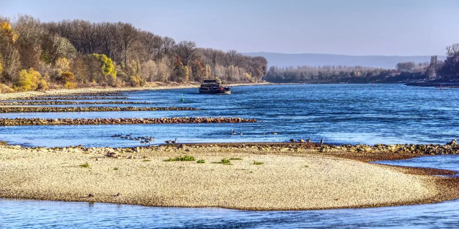 rhein