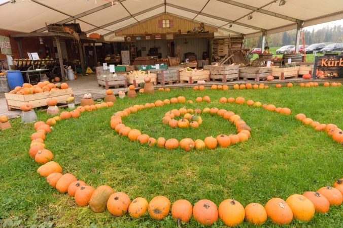 Der Hardhof ist spezialisiert auf Kürbisse.