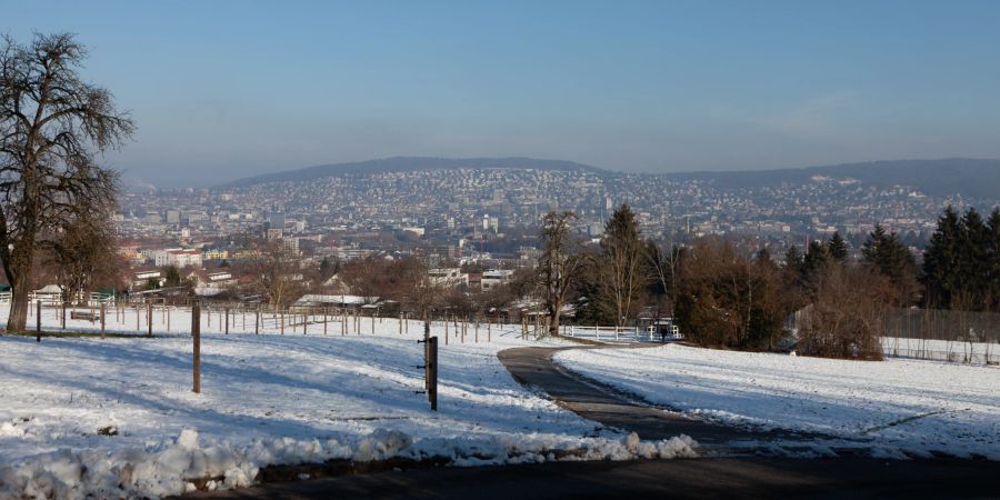 Aussicht über die Stadt Zürich vom Albisgüetli aus.