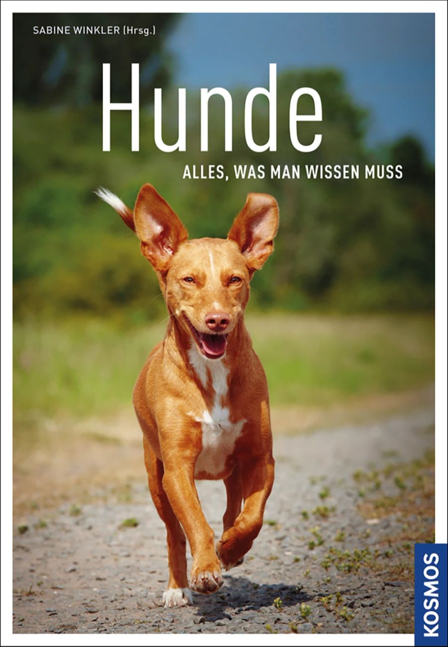 Buchcover Hund Wissen