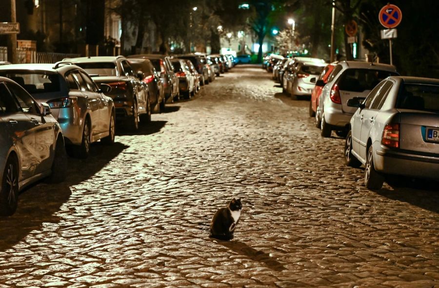 Ein Mann, der ausgeraubt wurde, sagt: «Ich gehe abends nicht mehr allein in die Stadt.»