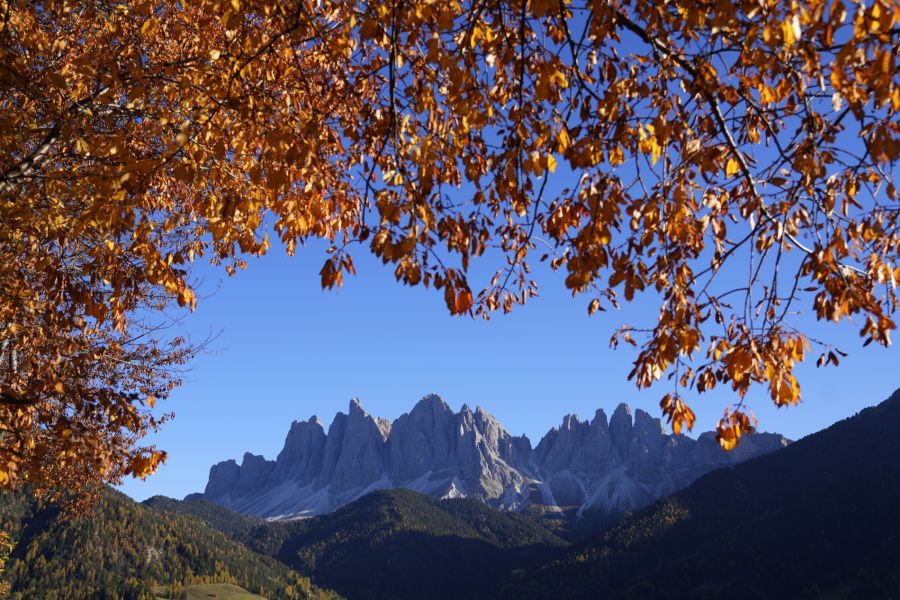 Der Bürgermeister von St. Magdalena will nun mit einer Schranke und modernster Technik Ruhe in die Ortschaft bringen.