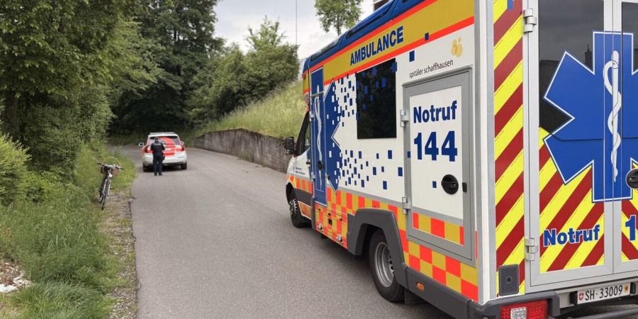 Neuhausen am Rheinfall SH