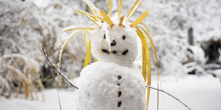 Schneemann Wetter