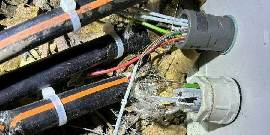 In Rheinfelden AG wurden Ende 2023 mehrmals das Glasfaser-Kabelnetz durchschnitten. Fünf junge Männer müssen sich für diese Sabotage und weitere Delikte vor Bezirksgericht verantwor...