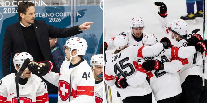 Fischer Schweizer gross