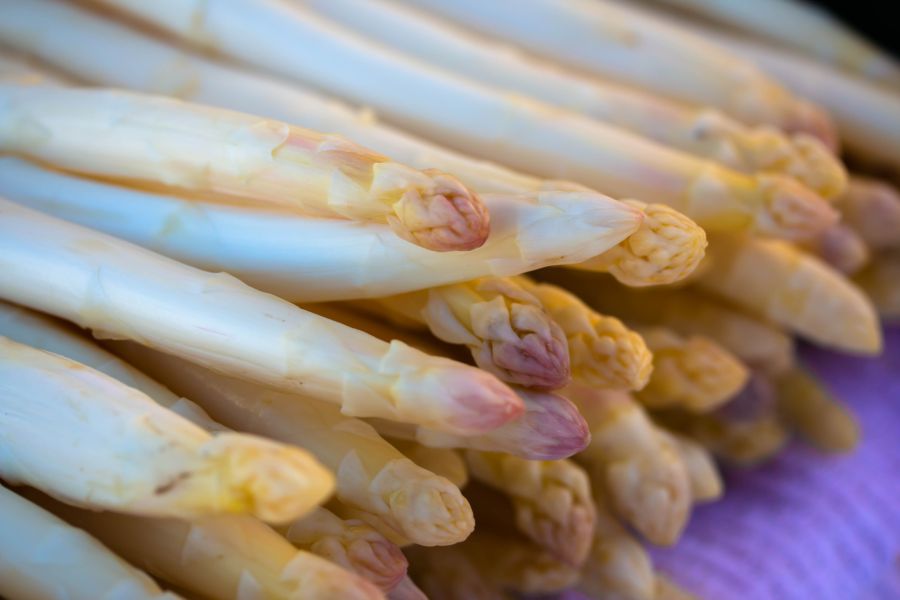 Spargel Freiburg