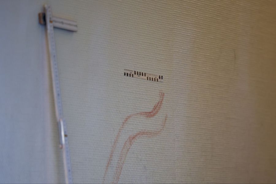An den Wänden im Treppenhaus findet die 54-Jährige plötzlich Blutspuren. (Symbolbild)