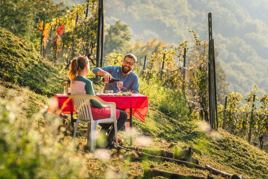 Swiss Wine Promotion